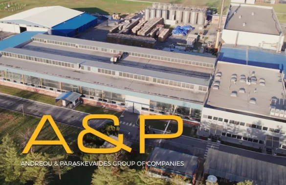 A&P ANDREOU AND PARASKEVAIDES GROUP OF COMPANIES